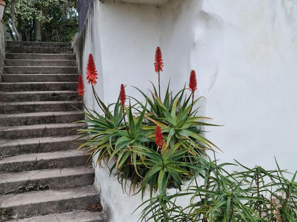 Gite Zen Carnoules  ภายนอก รูปภาพ